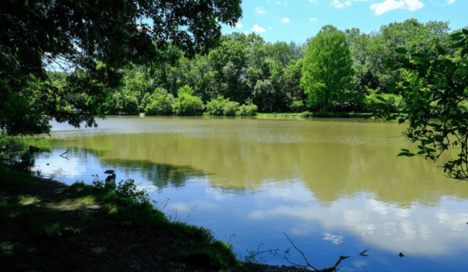 NYC Parks Is Looking To Build A New Sports Facility In Staten Island