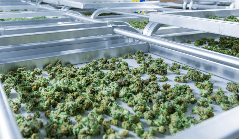 NYC To Receive Its First Legal Recreational Weed Dispensary This Week