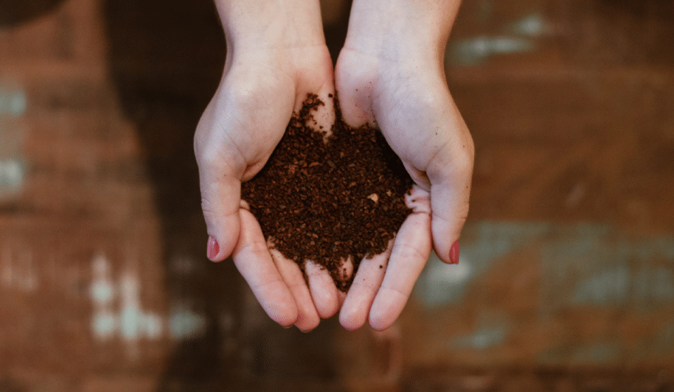 New York Becomes The Sixth State To Give The Ok On ‘Human Composting’