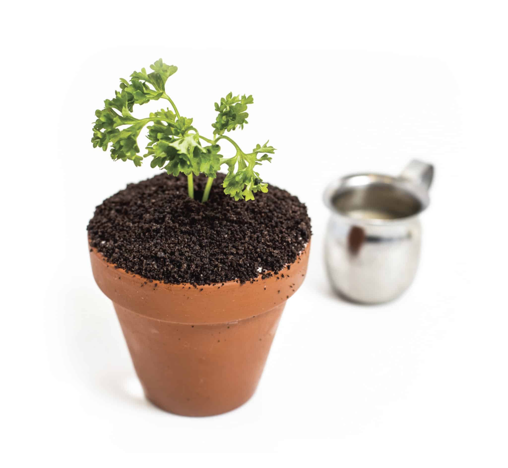 11 Best Spots For Cheesecake In NYC - Secret NYC