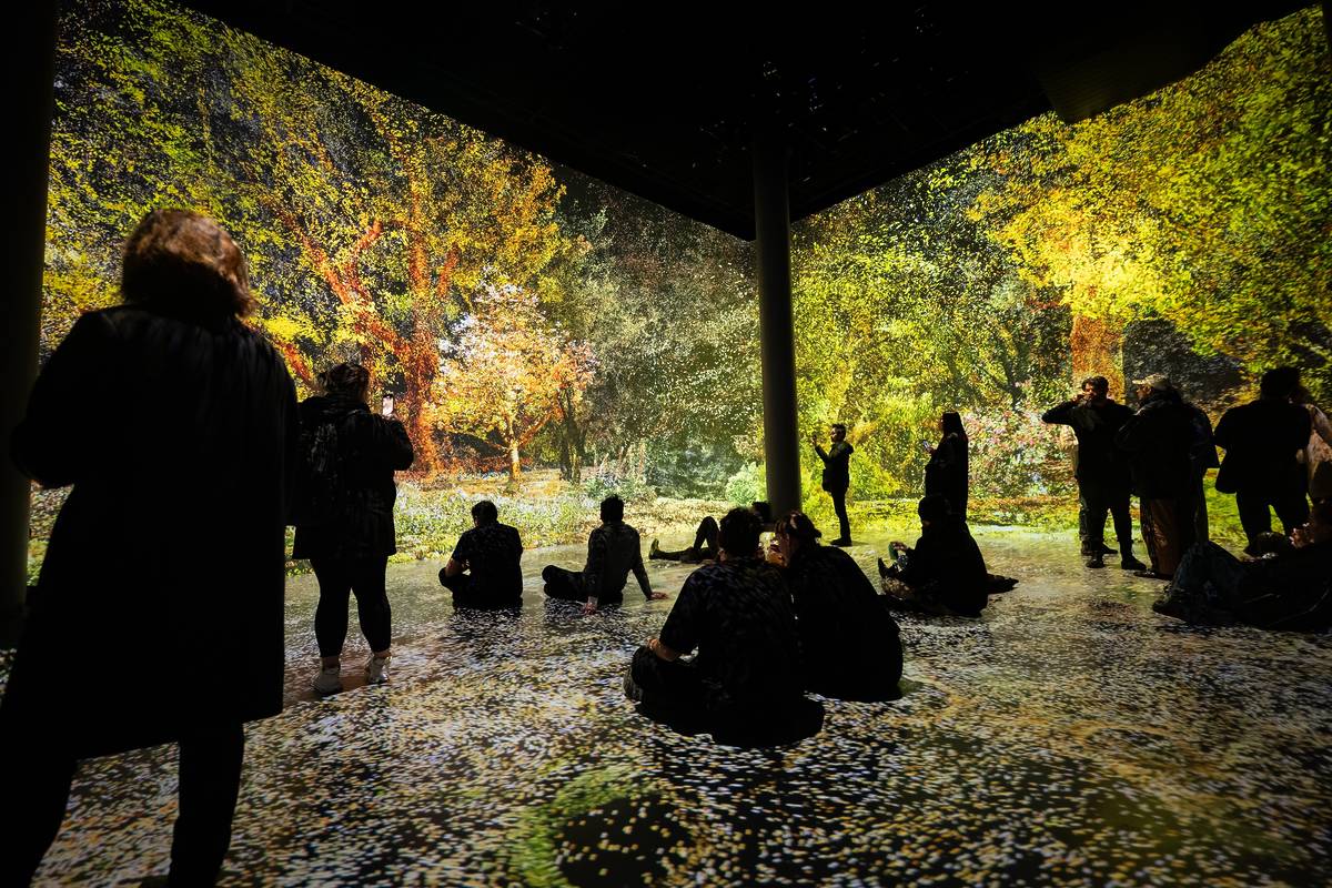 As melhores experiências imersivas em Nova York neste momento (2025), image size:1200x800