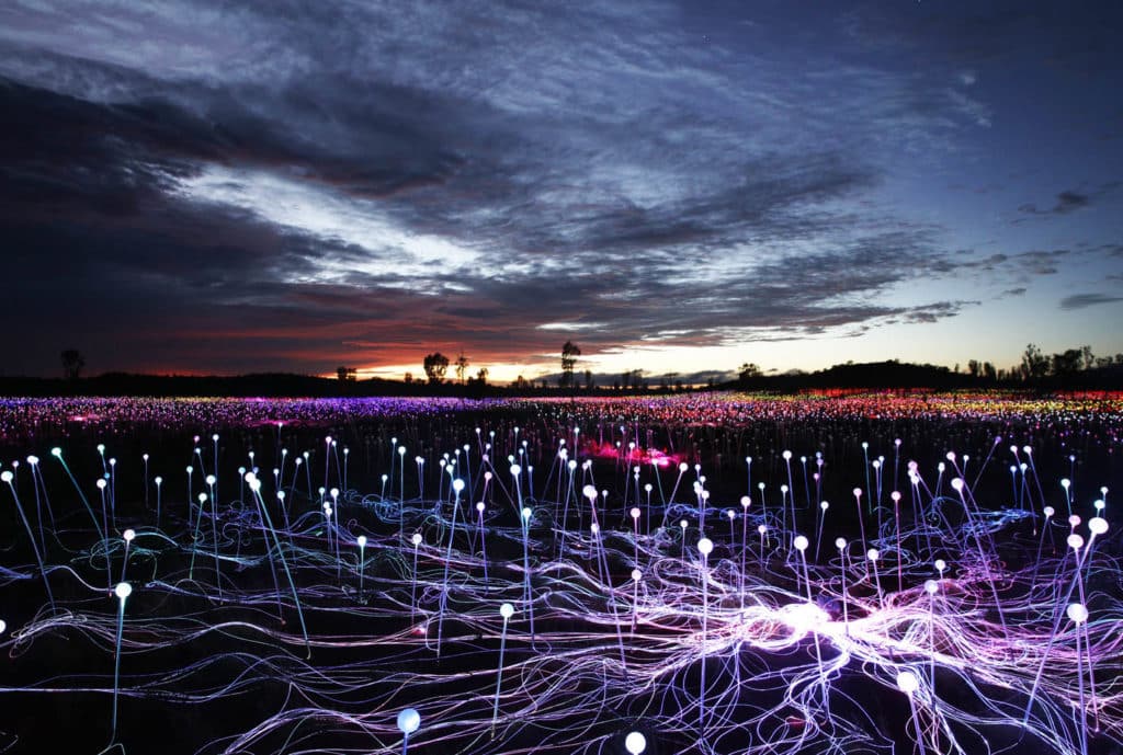 'Field Of Light' Will Turn NYC Into A Dreamlike Landscape