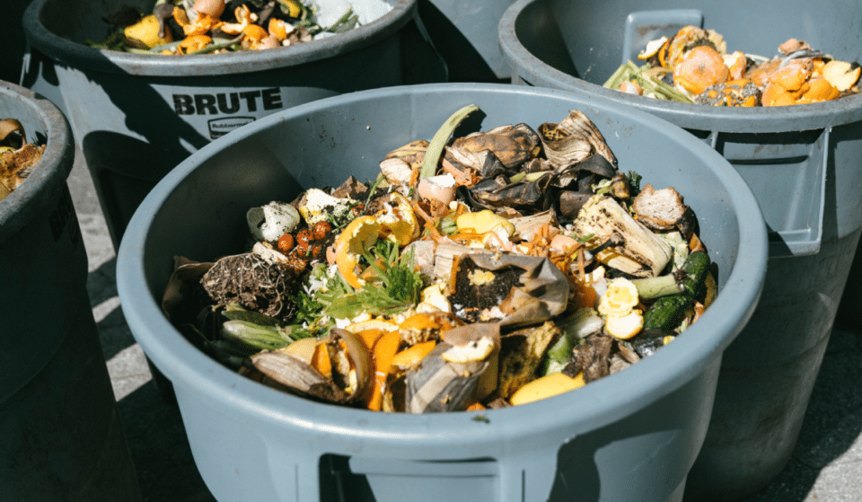 Composting Will Be Required In NYC By 2024