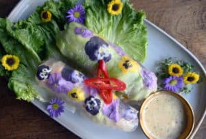 Rua Thai fresh summer rolls