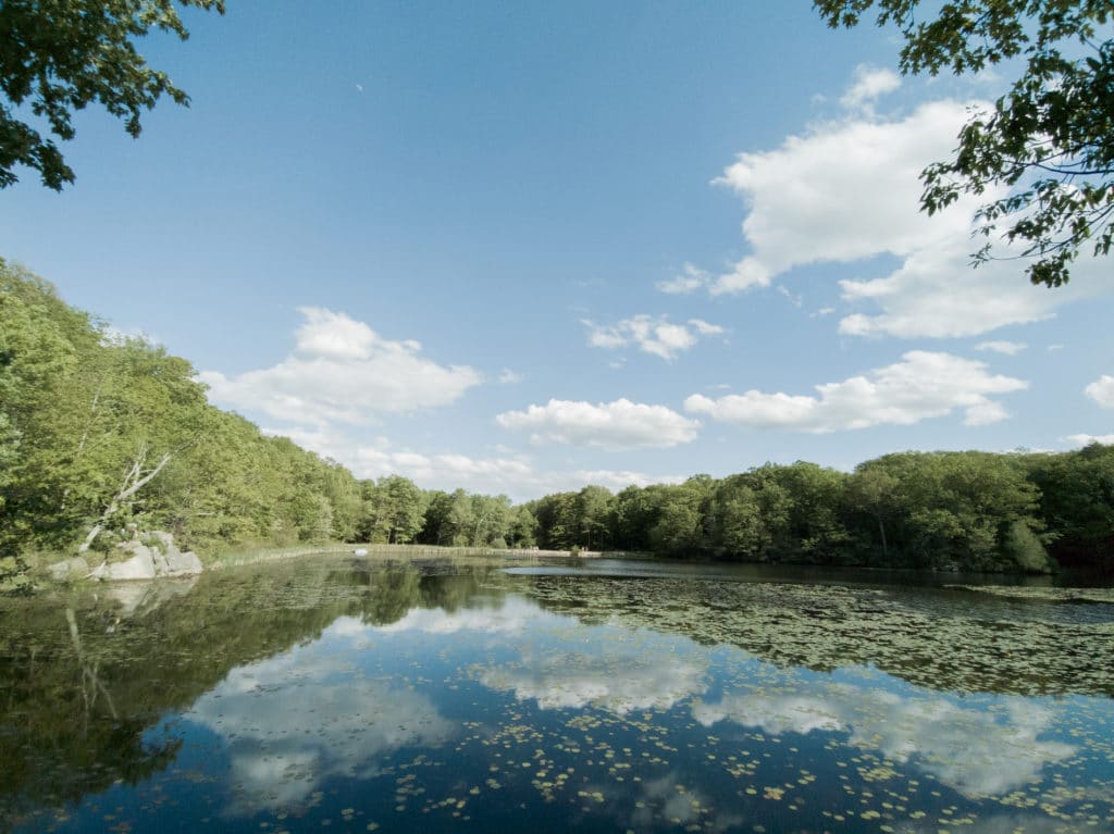 10 Swimming Lakes Near NYC To Check Out (2025)