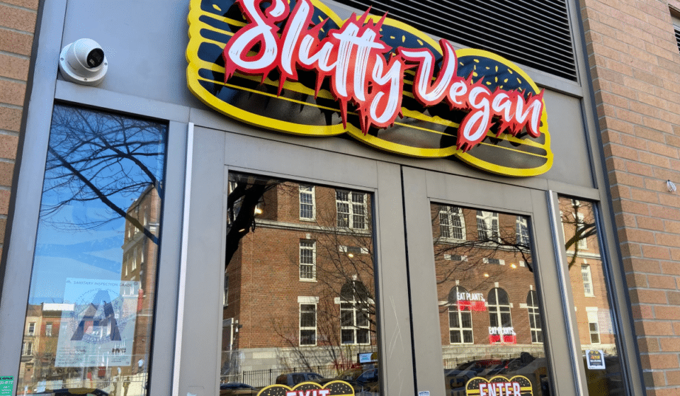 Here&#8217;s How New York Ranks When It Comes To Being Vegan-Obsessed