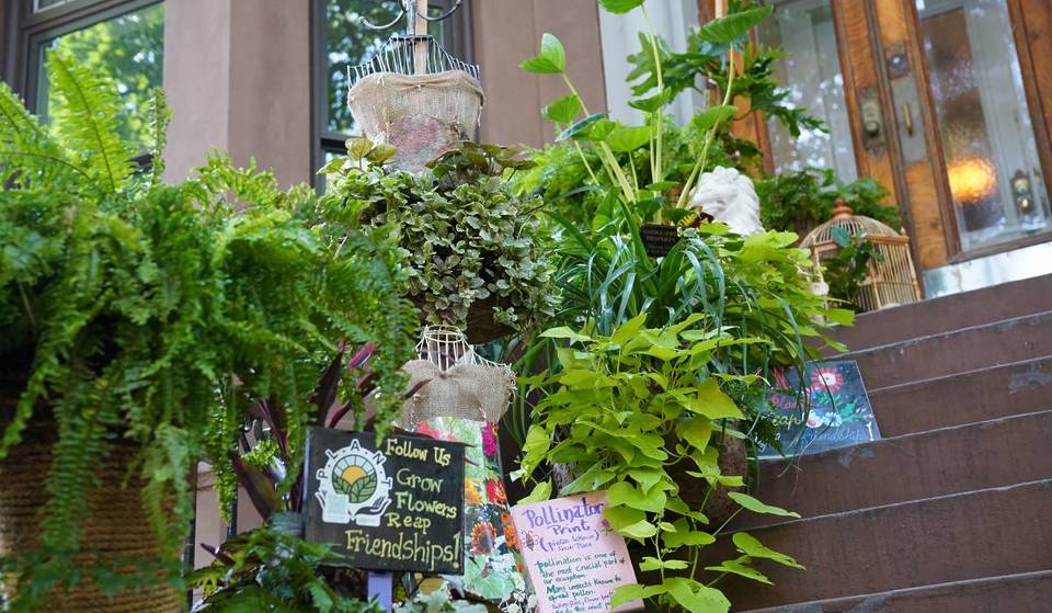 The ‘Greenest Block In Brooklyn’ Can Be Found In Crown Heights