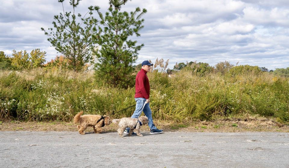 The World’s Largest Landfill To Be Reimagined As NYC’s Second Largest Park