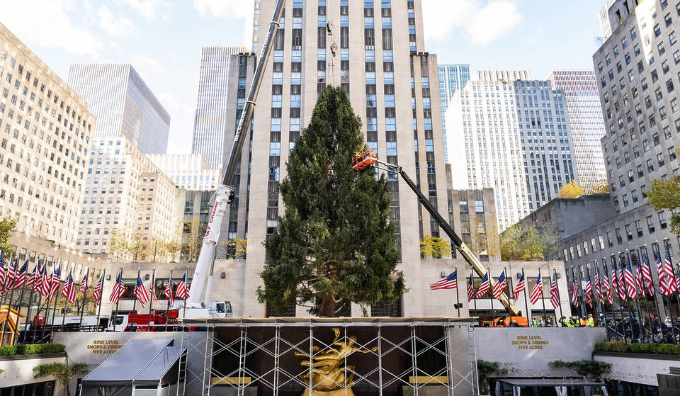 NYC&#8217;s Iconische Rockefeller Center Kerstboom arriveert deze november &#8211; Dit is wanneer en hoe je hem kunt zien