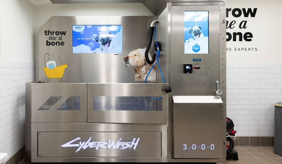 The top events, attractions and things to do in New York