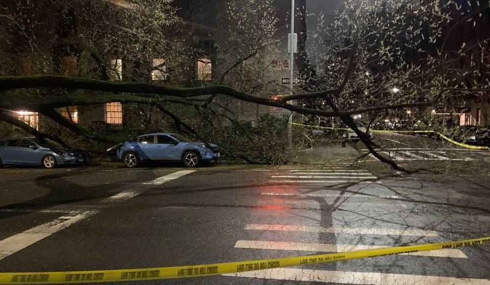 Fallen Trees & Power Outages: The Aftermath Of Last Night’s Storm In NYC