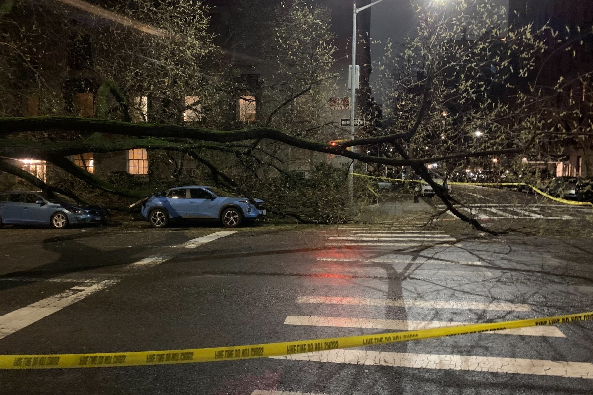 Fallen Trees & Power Outages Follow NYC Storm