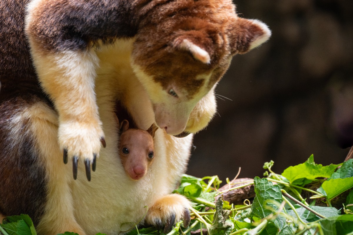 Terria-Clay_1047_Matschies-