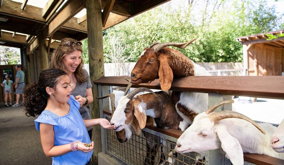 10 School Trips In NYC The Kiddos Will Actually Be Excited About