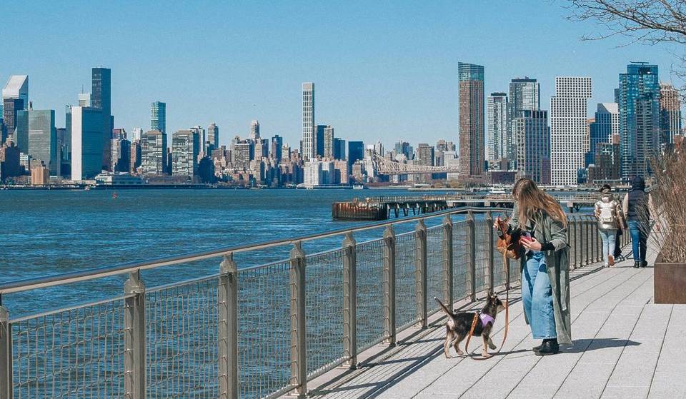 NY Named One Of The Best States In The Nation To Raise Happy, Healthy Pets
