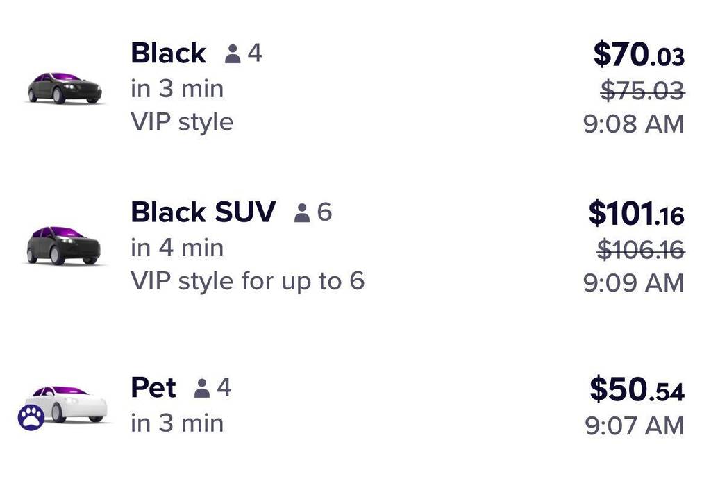 Lyft Debuts Pet Rides, A PetFriendly Trip Option Secret NYC