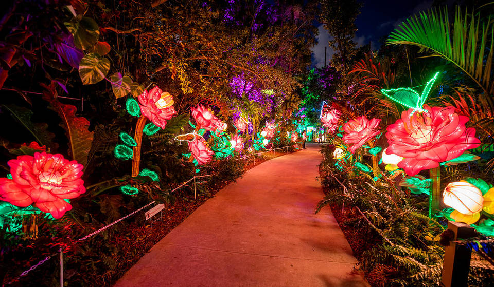 This Stunning Light Experience Made Its Debut In Queens & It’s Coming To A Close This Month