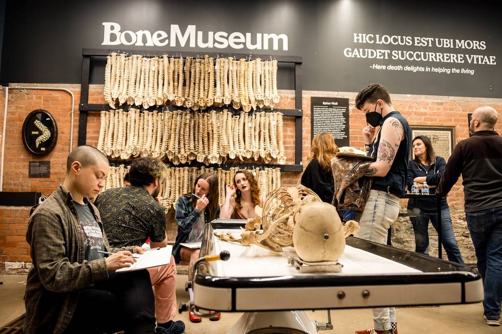 NYC s Bone Museum Houses Real Skeletal Remains