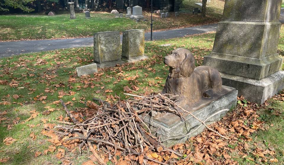 Over 100-Year-Old Dog’s Grave In Green-Wood Cemetery Shrouded In Sticks, Not Flowers