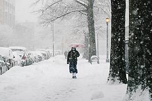 person holding an umbrella in the snow in nyc