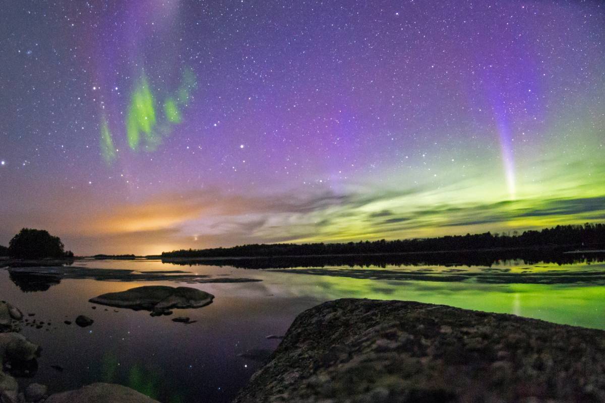 Flora Y Fauna Del Parque Nacional Voyageurs Archivi - Un Mondo Ecosostenibile - Foto 2