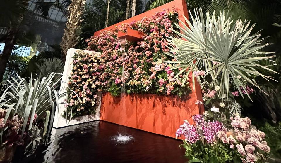 Experience Lush Nightlife & Latin Dance at NYBG’s Orchid Show