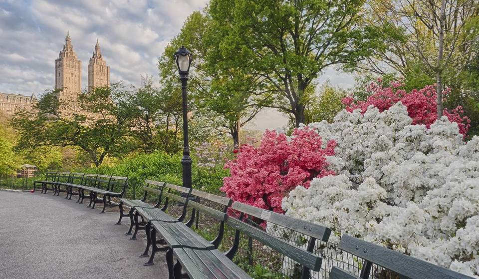 10 incroyables choses gratuites à faire à New York en avril prochain