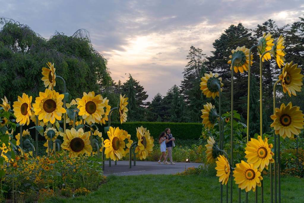 NYBG Presents A Botanical Celebration: 'Van Gogh Starry Nights'