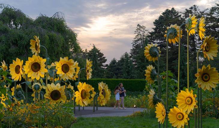 NYBG Announces Last Dates For Its Floral Spectacle, &#8216;Van Gogh&#8217;s Starry Nights&#8217; &#8211; Drone Show, Live Music &#038; Stunning Blooms