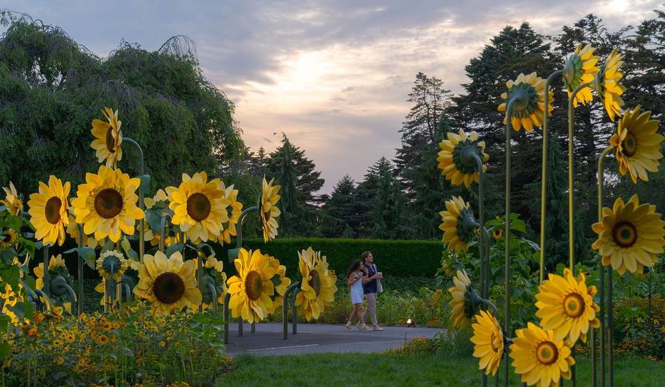 Van Gogh’s Starry Nights At NYBG: The Floral Spectacle That Features A Drone Show, Live Music & Stunning Blooms Is Saying Goodbye