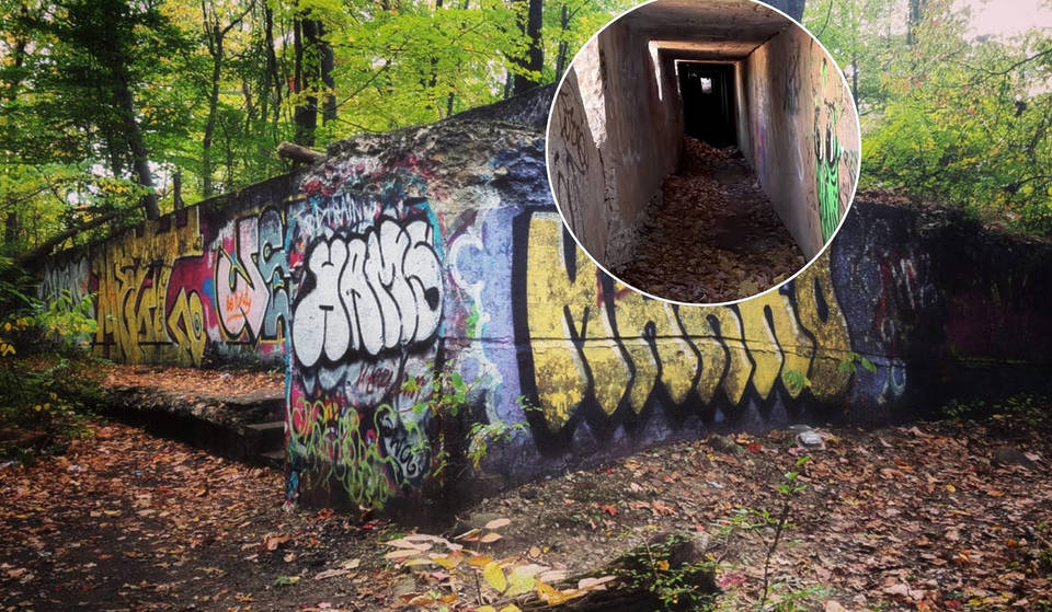 These Abandoned World War I Tunnels Are Hidden Under A Tree In A Park Near NYC – And You Don’t Probably Know Them