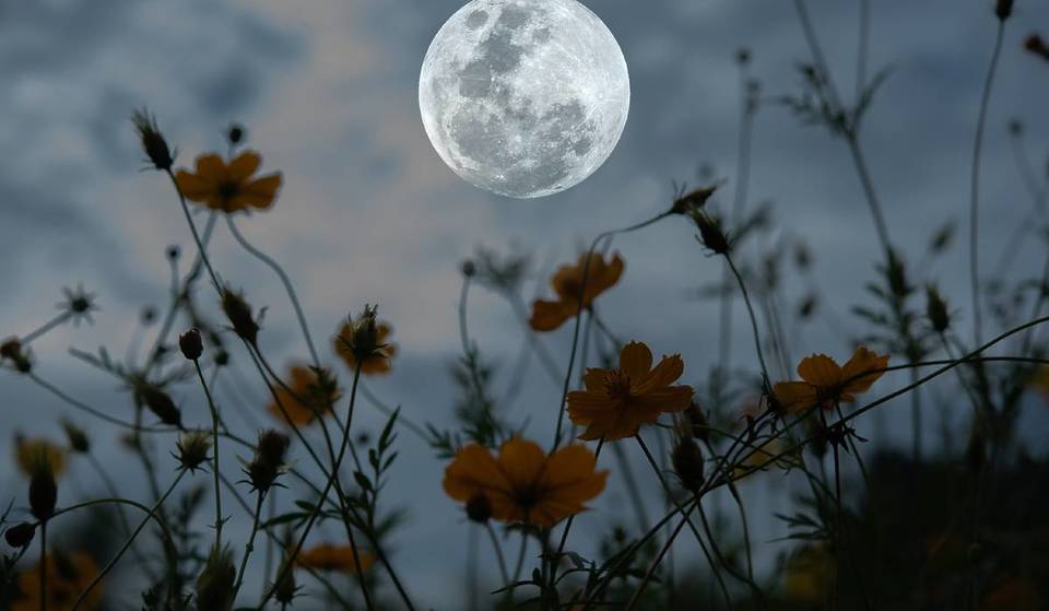 Una luna llena florecerá en el cielo nocturno el lunes, señalando la llegada de la primavera