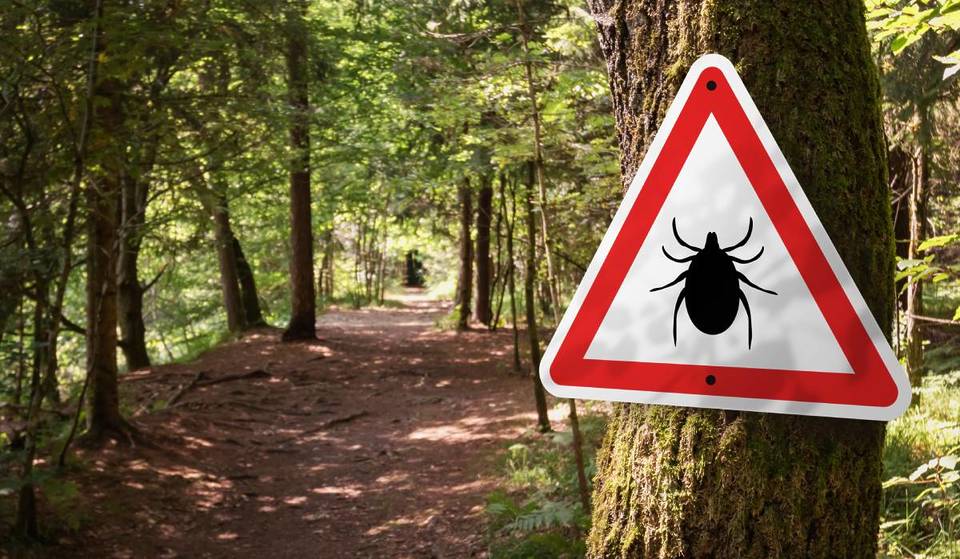 Un nuevo estudio advierte de la aparición de casos de una rara enfermedad parecida a la malaria en la costa este