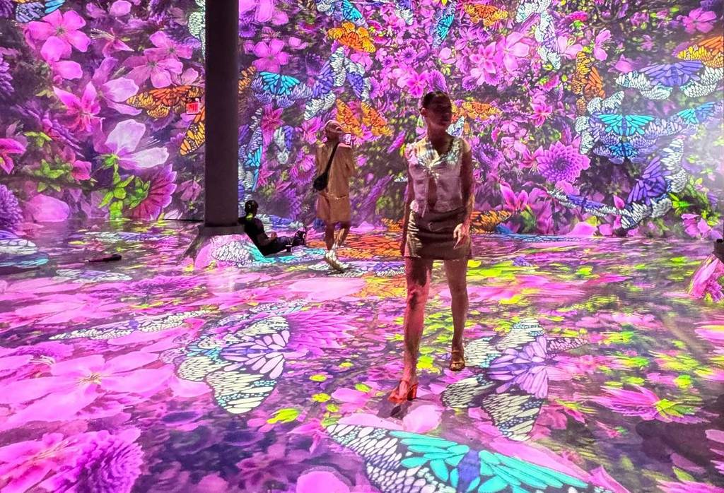 Blooming Wonders experience