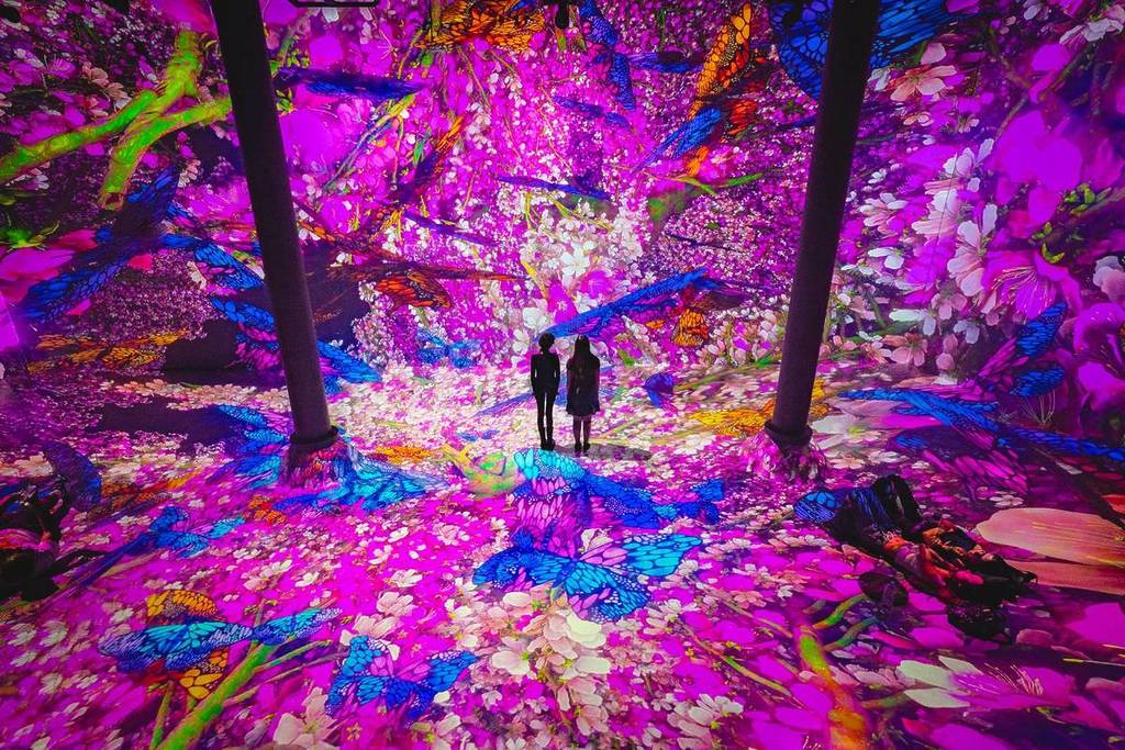 ARTECHouse Blooming Wonders exhibit