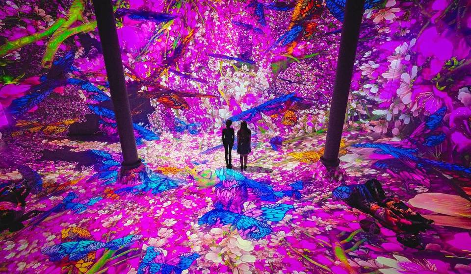 Blooming Wonders Is Now Open In NYC As A Digital Garden With Florals And Butterflies