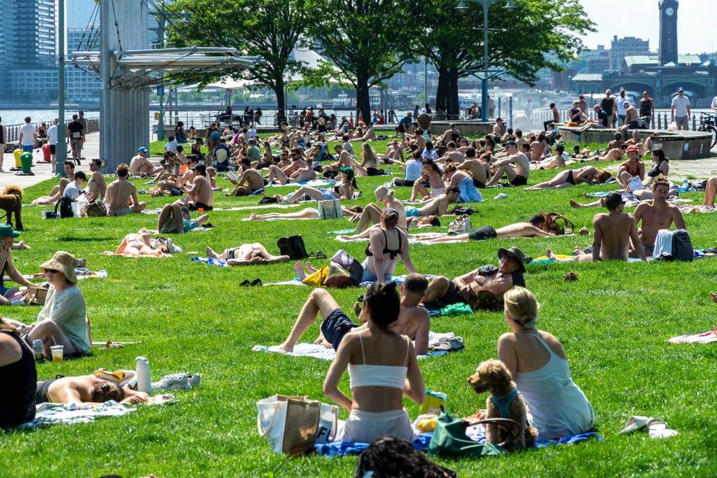 NYC park in de zomer
