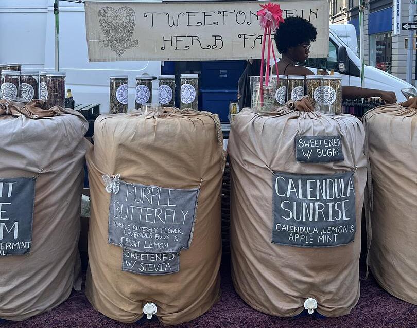 Iced tea selection from Union Square Green Market