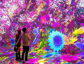 Assista à dança das borboletas e ao desabrochar das flores nesta deslumbrante experiência em Nova York neste verão