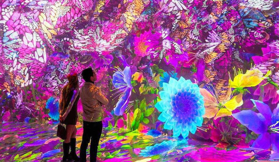 Blooming Wonders abre sus puertas en Nueva York como un jardín digital con flores y mariposas