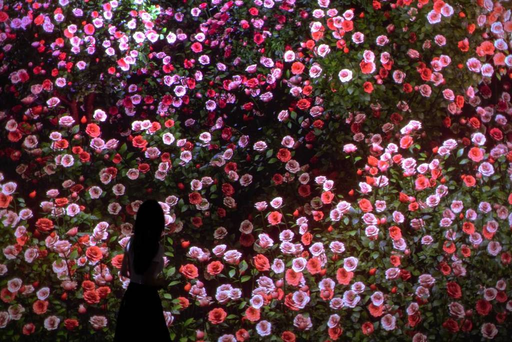 Woman looking at the FLOWER 'ROSE' installation