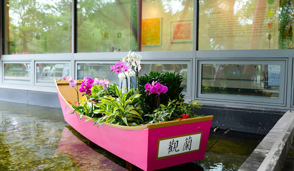 Un avant-goût de Taïwan lors de cette étonnante exposition d&rsquo;orchidées dans le Queens