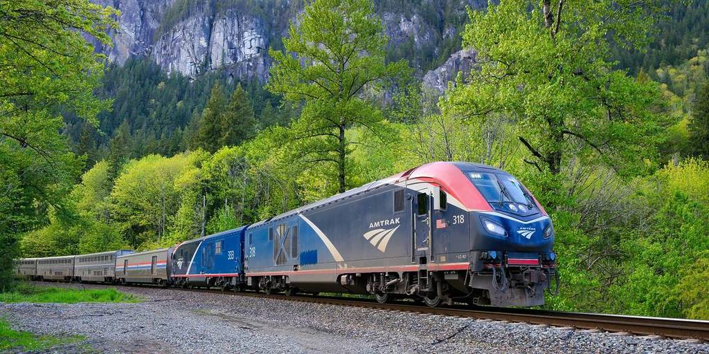 Amtrak trein door groen