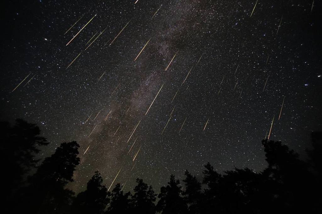 Perseid Meteor Shower. Collage of photos taken on the night of August 12, 2016 in the mountains of Arkhyz. Beautiful annual celestial event against the background of the Milky Way over the forest