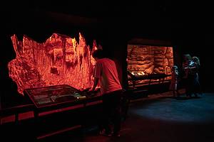 Person inside the Bronx Zoo World of Darkness Exhibit