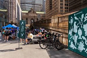 Grand Central Terminal The Grand Lawn