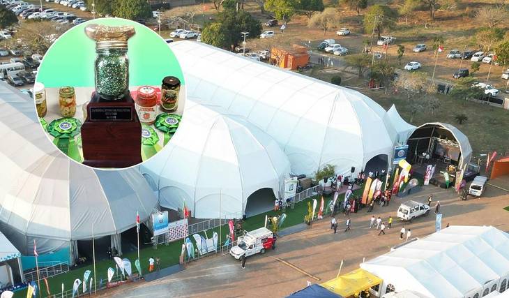 El Festival del Encurtido, cerca de Nueva York, cuenta con más de 100 vendedores y un concurso de zumo de pepinillos, pero sólo durante un día.