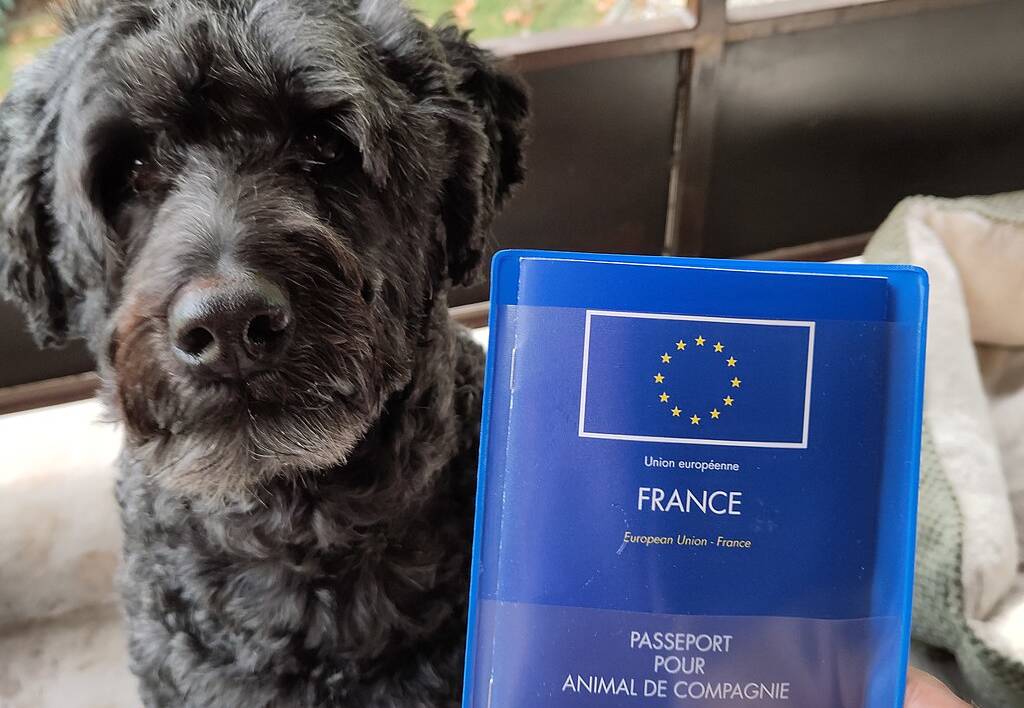 Pet passport (France)