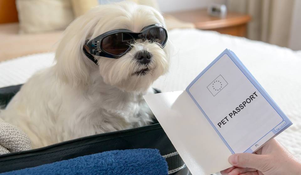 Você precisará de dois passaportes para visitar estes países &#8211; um para você e outro para seu animal de estimação