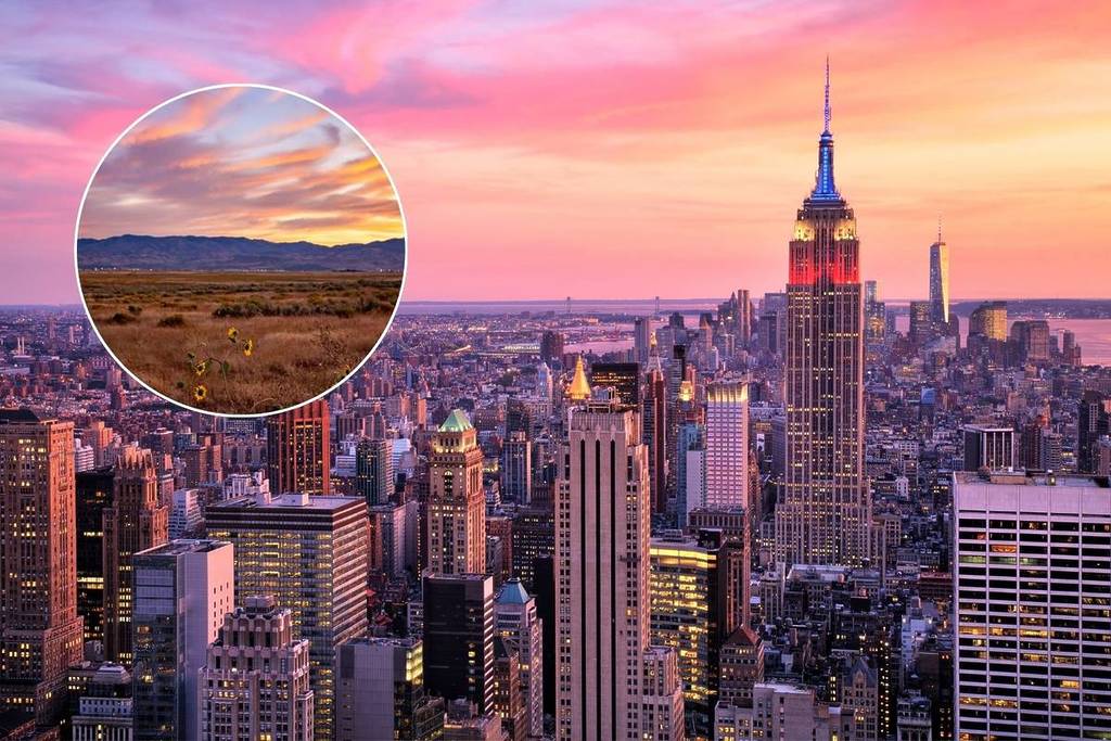 NYC all'alba e un campo dell'Idaho in cerchio